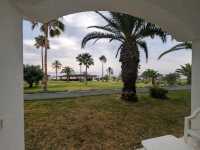 Golden Sands and Gentle Waves of Al Hammamat Beach 