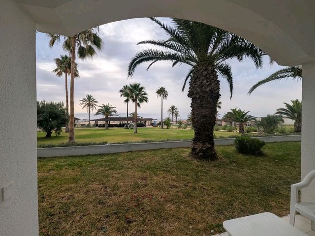 Golden Sands and Gentle Waves of Al Hammamat Beach 