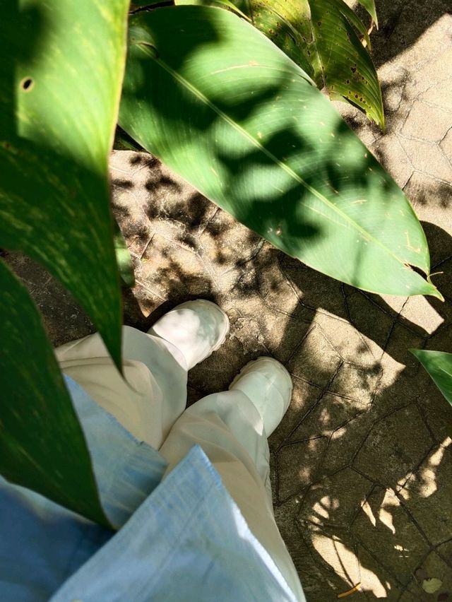 ร้านบ้านจ่า ตากใบ