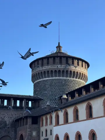 Where Michelangelo’s Chisel Dead: Sforza’s Fortress Of Shattered Grace