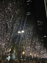 🌲2020年 東京丸の内クリスマスツリー と2025年に乞うご期待❣️