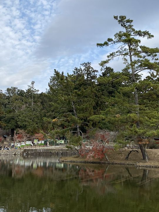 一日散策-奈良公園