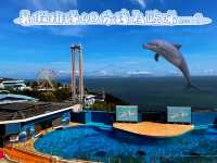 香港人嘅集體回憶變咗！2025海洋公園值唔值得去？