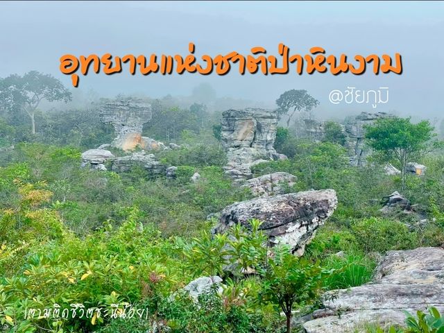 ชวนเที่ยวชมธรรมชาติสวยที่ชัยภูมิ🌿