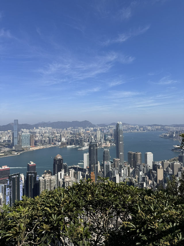 📅 Hong Kong 3 days 2 nights Best Itinerary!