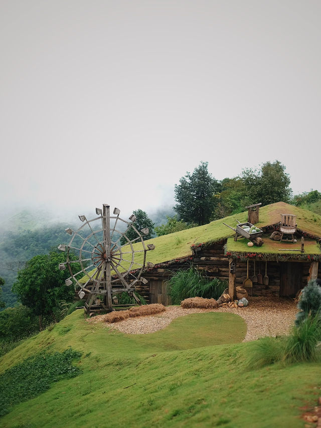 Akha Farmville ฟาร์มแกะบนดอยช้าง