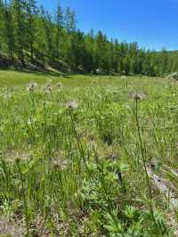 Reindeer Herders’ Village – Taiga, Mongolia