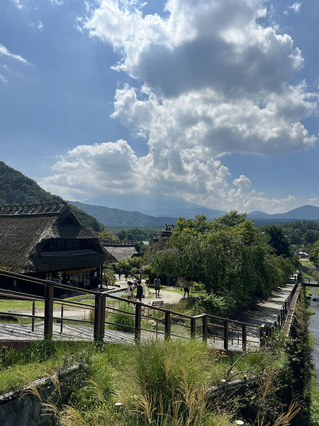 🌸 From Tokyo Streets to Fuji Peaks: A Journey to Remember 🇯🇵