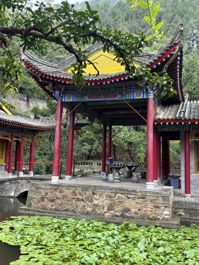 Xi’an comprehensive trip Xi’an comprehensive trip