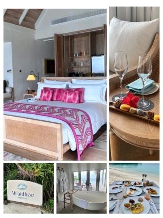 #maldiveshotel
🌴✨ Milaidhoo Island – A Storybook Maldives Escape 🐠🌊

📍 Location
Tucked away in the UNESCO Baa Atoll Biosphere Reserve, Maldives – surrounded by coral reefs and turquoise lagoons.

💎 Vibe
An intimate luxury island designed for romance, barefoot freedom, and Maldivian charm. Perfect for honeymooners and couples seeking tranquility 💖.

🌊 What to See & Do

Stay in overwater villas or beach pool villas with dreamy views 🌅

Snorkel and dive in vibrant coral reefs 🐟🤿

Dine under the stars at Ba’theli Restaurant, set on a traditional Maldivian boat 🍷🍴

Relax with wellness rituals at the overwater spa 💆♀️

Join excursions like dolphin cruises & sandbank picnics 🐬🏝️


🌟 Highlights

Only 50 villas, ensuring privacy & seclusion 🌿

Unique Ba’theli fine dining experience on the water 🚤

UNESCO Biosphere location with rich marine life 🐢

Private infinity pools in most villas 🏡✨

Personalized experiences crafted with Maldivian flair 🌸


🚤 How to Reach

35-minute seaplane ride from Velana International Airport, Malé ✈️


💡 Milaidhoo Island Maldives is where luxury feels personal, offering a romantic escape wrapped in Maldivian heritage and barefoot beauty 🌴🌊.

#MilaidhooMaldives #LuxuryEscape #VisitMaldives #BaaAtoll #MaldivesResort #OverwaterVilla #IslandRomance #BarefootLuxury
#travel #couplestrip 