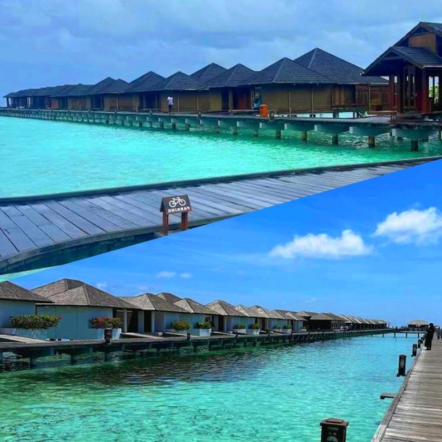 Maldives
