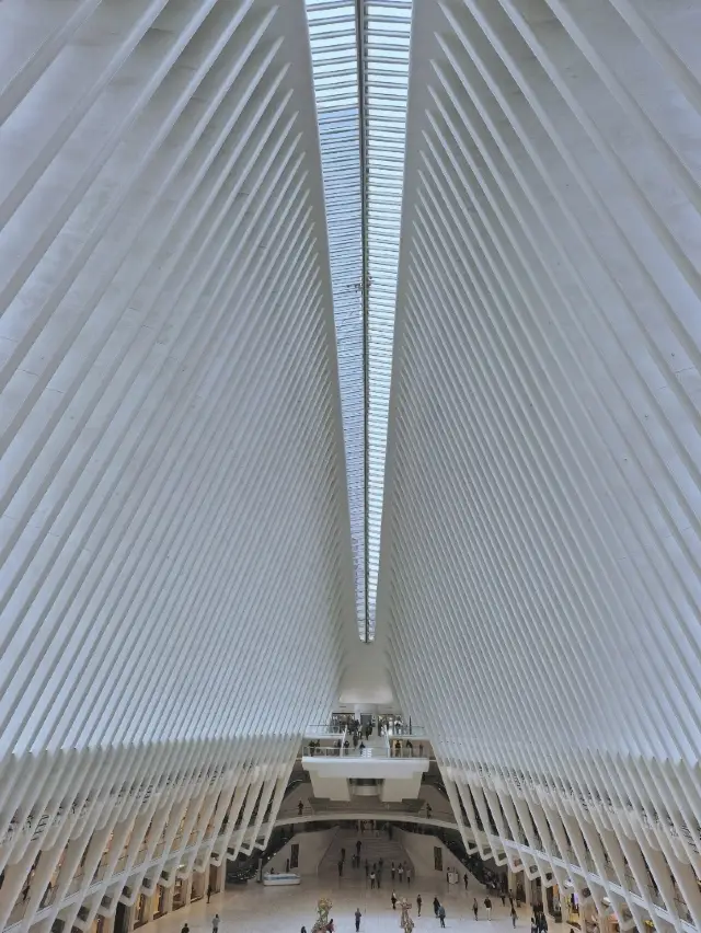 New York Memorial Museum: A Space of Remembrance and Reflection