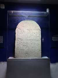 🌟 Crocodile Museum – Aswan, Egypt