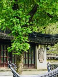 Practical Tips for a Perfect Visit