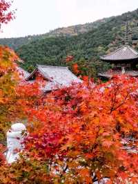 紅葉満喫1泊2日