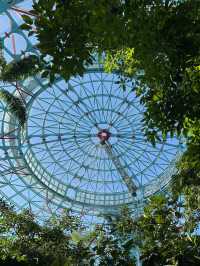 科博館植物園花影下的悠閒時光  
