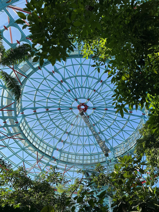科博館植物園花影下的悠閒時光  