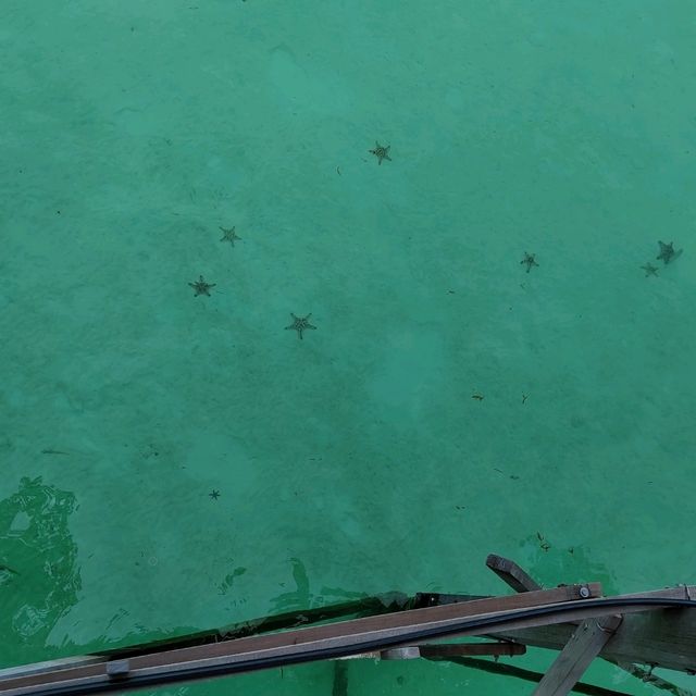 馬達京島最靚海灘秋千打卡🏖