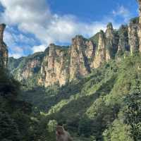 Nature’s Vertical Wonderland: My Zhangjiajie Escape
