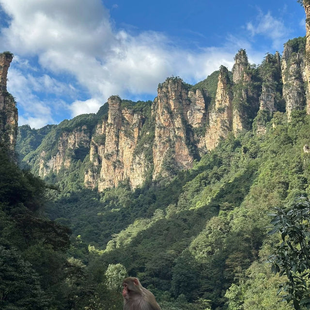 Nature’s Vertical Wonderland: My Zhangjiajie Escape