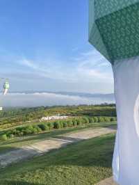 สวนเฉลิมพระเกียรติ(ทุ่งดอกบัวตอง อ.แม่เมาะ)