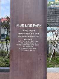 이거타면 부산 바다 다 볼수 있어요 !! - 해운대 블루라인파크 