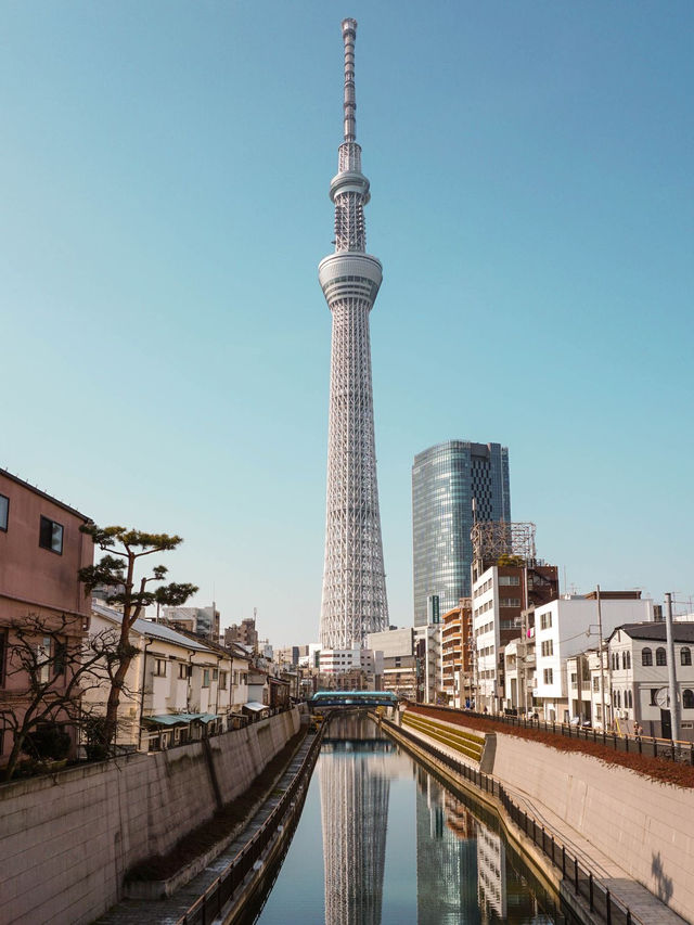 A Memorable Visit to Tokyo Tower