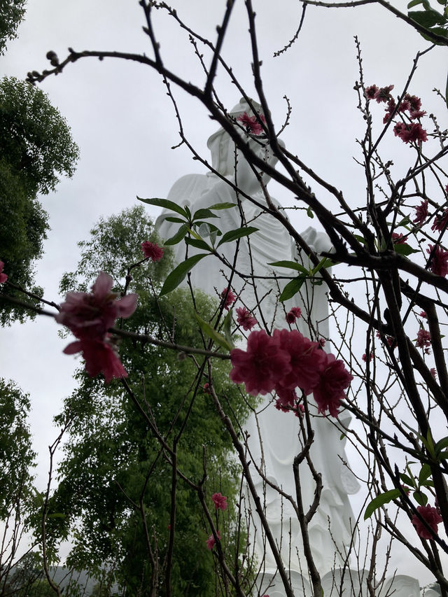 一起來參拜大埔慈山寺的觀音