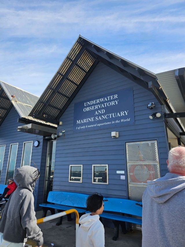 Busselton Jetty: Perth’s Epic Waterfront Adventure 🚂🌊