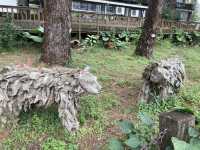 免費入場臥松園區打卡推介🌳