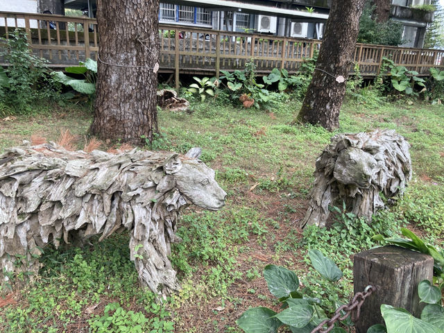 免費入場臥松園區打卡推介🌳