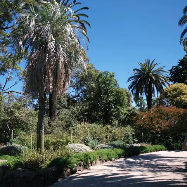 Guide to Kampong Glam Park