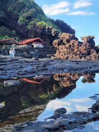 Sun-Kissed Adventures on Jeju Island! ☀️✨