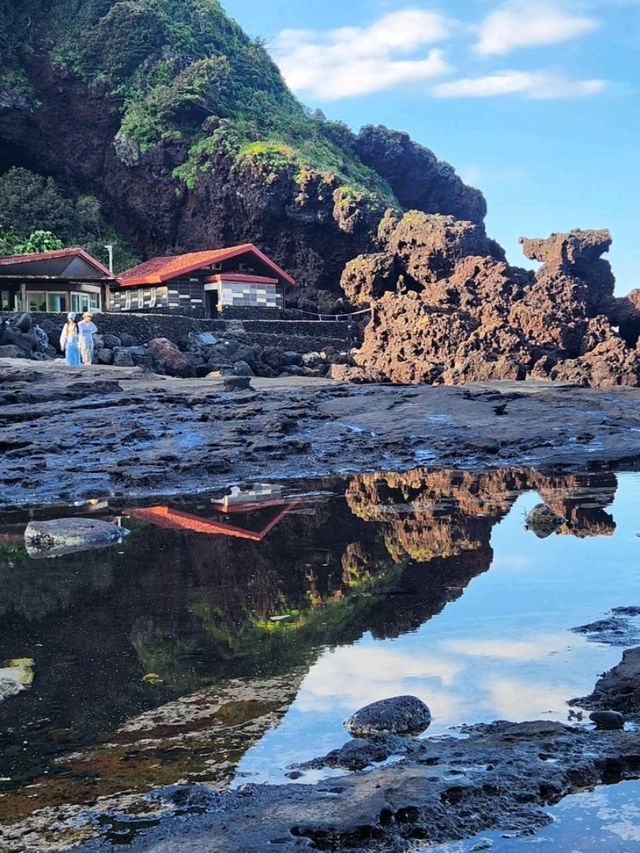 Sun-Kissed Adventures on Jeju Island! ☀️✨