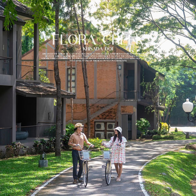 ที่พักเชียงใหม่ท่ามกลางสวนดอกไม้และขุนเขา 🌳 ที่พักเชียงใหม่ท่ามกลางสวนดอกไม้และขุนเขา 🌳