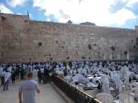 Old City Temple Mount, Western Wall, Bat Yam Beach