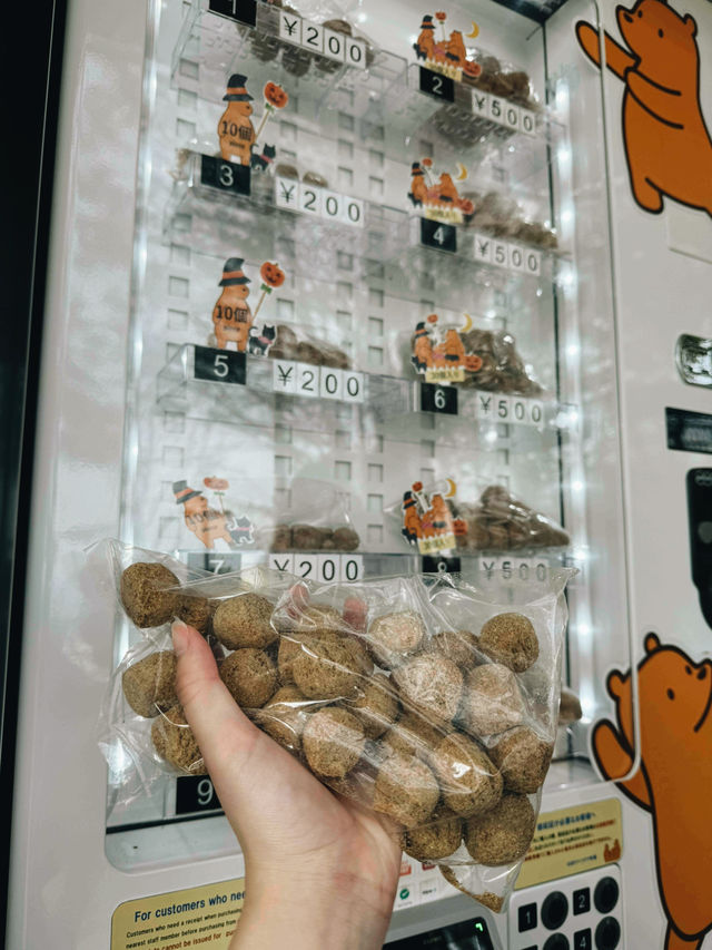 🐻✨【熊熊揮手Say Hi!】登別熊牧場親子放電大冒險!纜車上山睇靚景、餵熊熊互動超有趣、仲有鴨仔賽跑同小熊萌爆登場~一家大細一齊出發,開心又放電!  🐻✨【熊熊揮手Say Hi!】登別熊牧場親子放電大冒險!纜車上山睇靚景、餵熊熊互動超有趣、仲有鴨仔賽跑同小熊萌爆登場~一家大細一齊出發,開心又放電!