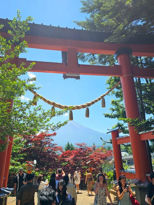【秋日限定】淺間公園的夢幻畫面
