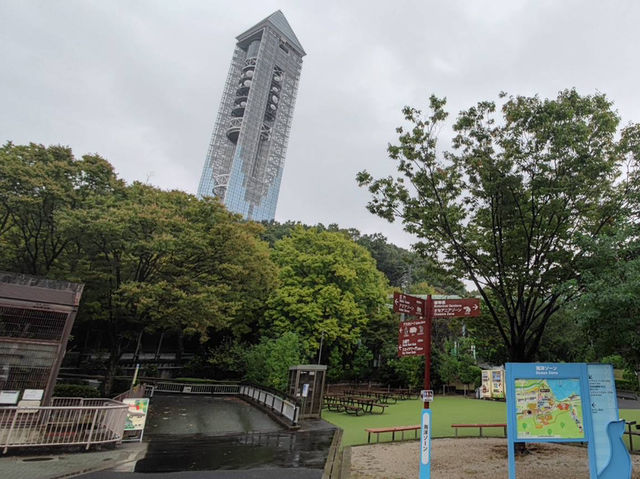 名古屋親子活動最佳場所#名古屋東山動植物園-日本愛知縣名古屋市