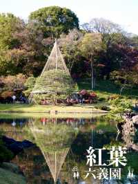 江戸期を代表する大名庭園 雪吊りと紅葉のリフレは絶景!