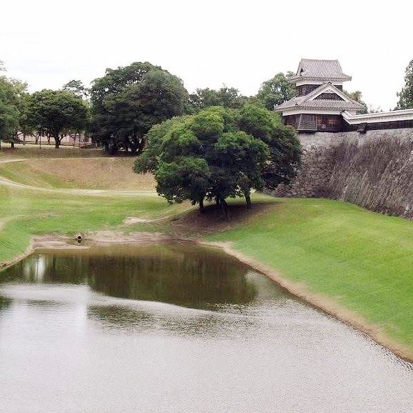 The Unbreakable Spirit: My Return to Kumamoto Castle