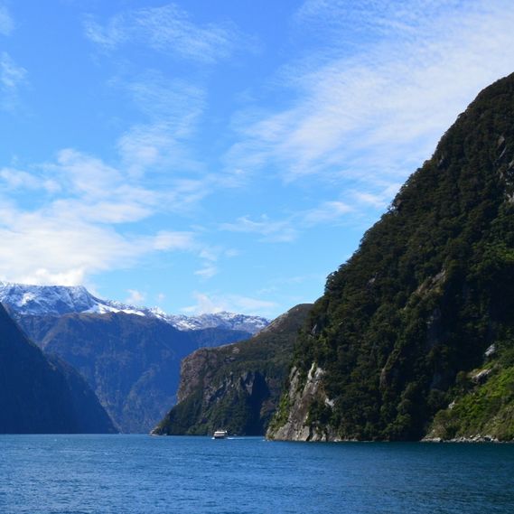 Milford Pure Bliss🛥️