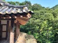 순천여행 히든 명소! 인생샷 촬영지 순천 초연정 원림