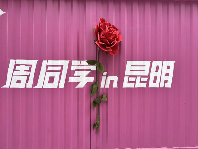 昆明室外人文風景推介🌼 昆明室外人文風景推介🌼