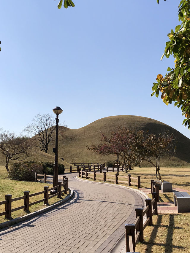 🌿 시간 속을 걷는 곳, 경주 대릉원에서의 추석