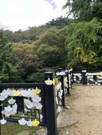아름다운 계곡길을 지나 🏞️
