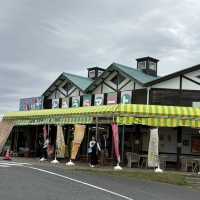 【千葉/南房総🇯🇵】道の駅とみうら内の物産館！🐟とみうらマート