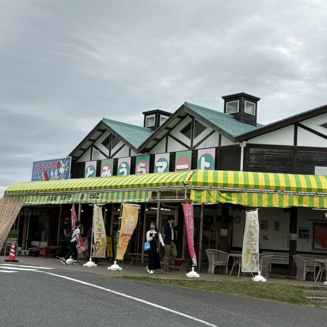 【千葉/南房総🇯🇵】道の駅とみうら内の物産館！🐟とみうらマート