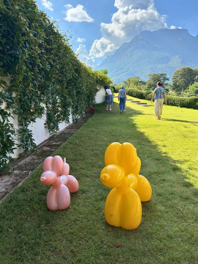 💯TATA Chiang Dao 💯TATA Chiang Dao