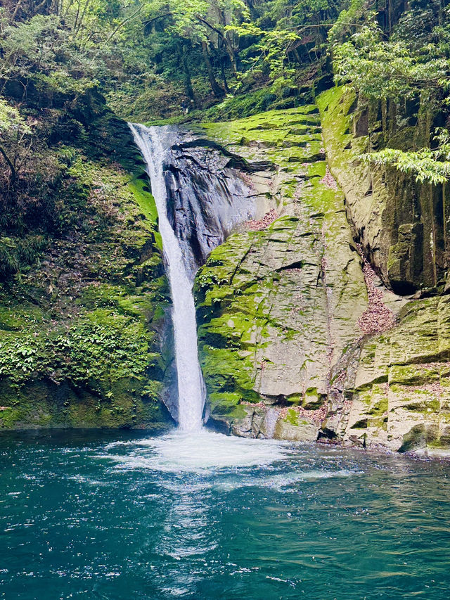 猛暑の中🫠涼を求めるならここ行って✨一日中自然を満喫できる滝のテーマパーク😉 猛暑の中🫠涼を求めるならここ行って✨一日中自然を満喫できる滝のテーマパーク😉